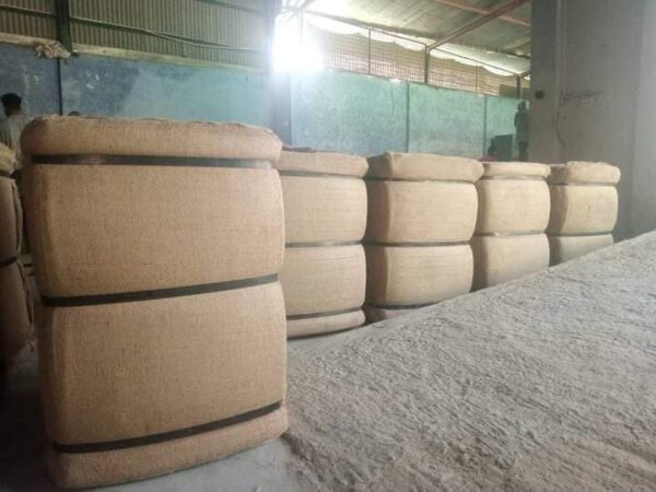 Eco Friendly Jute Sacks for Sale, eco-friendly-jute-sacks, Jute Sacks for Sale in Ghana, Jute Sacks for Sale in Benin, Jute Sacks for Sale in Ivory Coast, Jute Sacks for Sale in Equatorial Guinea, Jute Saks for Sale in Guinea Bissau, Jute Sacks for Sale in Nigeria, Jute Yarn for Sale, Buy Jute Sacks at Bulk Prices, Jute Prices, Eco Friendly Jute Sack Prices, Best Jute Sacks Producers, Jute Sacks or Sale in Dakar, Jute Sacks for Sale in Cameroon, Jute Sacks for Sale in Malabo Equatorial Guinea, Jute Sacks for Sale for Sale in Abidjan, Jute Sacks for Sale in Lagos Nigeria, Jute Sacks for Sale Douala Cameroon, Jute Sacks for Sale Yaoundé Cameroon, Jute Sacks for Sale Cotonou Benin, Jute Sacks for Sale in Bissau, Jute Sake for Sale in Guinea Conakry, Jute Sacks for Sale in Gambia, Jute Sack Prices Benin, Jute Sack Prices Trinidad and Tobago, Jute Sack Prices Brazil, Jute Sacks Congo, Jute Sack Prices Congo, Jute Sack Manufacturers, Jute Sack Factories Benin, Jute Sack Factories Accra Ghana, Jute Sack Factories Congo, Jute Sack Factories Lome, Jute Sack Factories Latin America, Jute Sack Companies in Africa, Cocoa Sacks for Sale, Cocoa Beans Sacks, Cocoa bags for Sale, Best Factory Prices Jute Sacks, Producers of Jute Sacks Guinea Bissau, Jute Sack Ivory Coast, eco-friendly-jute-bags, Jute Bags for Sale in Ghana, Jute Bags for Sale in Benin, Jute Bags for Sale in Ivory Coast, Jute Bags for Sale in Equatorial Guinea, Jute Saks for Sale in Guinea Bissau, Jute Bags for Sale in Nigeria, Jute Yarn for Sale, Buy Jute Bags at Bulk Prices, Jute Prices, Eco Friendly Jute Sack Prices, Best Jute Bags Producers, Jute Bags or Sale in Dakar, Jute Bags for Sale in Cameroon, Jute Bags for Sale in Malabo Equatorial Guinea, Jute Bags for Sale for Sale in Abidjan, Jute Bags for Sale in Lagos Nigeria, Jute Bags for Sale Douala Cameroon, Jute Bags for Sale Yaoundé Cameroon, Jute Bags for Sale Cotonou Benin, Jute Bags for Sale in Bissau, Jute Sake for Sale in Guinea Conakry, Jute Bags for Sale in Gambia, Jute Sack Prices Benin, Jute Sack Prices Trinidad and Tobago, Jute Sack Prices Brazil, Jute Bags Congo, Jute Sack Prices Congo, Jute Sack Manufacturers, Jute Sack Factories Benin, Jute Sack Factories Accra Ghana, Jute Sack Factories Congo, Jute Sack Factories Lome, Jute Sack Factories Latin America, Jute Sack Companies in Africa, Cocoa Bags for Sale, Cocoa Beans Bags, Cocoa bags for Sale, Best Factory Prices Jute Bags, Producers of Jute Bags Guinea Bissau, Jute Sack Ivory Coast, eco-friendly-cocoa-bags, Cocoa Bags for Sale in Ghana, Cocoa Bags for Sale in Benin, Cocoa Bags for Sale in Ivory Coast, Cocoa Bags for Sale in Equatorial Guinea, Cocoa Saks for Sale in Guinea Bissau, Cocoa Bags for Sale in Nigeria, Cocoa Yarn for Sale, Buy Cocoa Bags at Bulk Prices, Cocoa Prices, Eco Friendly Cocoa Sack Prices, Best Cocoa Bags Producers, Cocoa Bags or Sale in Dakar, Cocoa Bags for Sale in Cameroon, Cocoa Bags for Sale in Malabo Equatorial Guinea, Cocoa Bags for Sale for Sale in Abidjan, Cocoa Bags for Sale in Lagos Nigeria, Cocoa Bags for Sale Douala Cameroon, Cocoa Bags for Sale Yaoundé Cameroon, Cocoa Bags for Sale Cotonou Benin, Cocoa Bags for Sale in Bissau, Cocoa Sake for Sale in Guinea Conakry, Cocoa Bags for Sale in Gambia, Cocoa Sack Prices Benin, Cocoa Sack Prices Trinidad and Tobago, Cocoa Sack Prices Brazil, Cocoa Bags Congo, Cocoa Sack Prices Congo, Cocoa Sack Manufacturers, Cocoa Sack Factories Benin, Cocoa Sack Factories Accra Ghana, Cocoa Sack Factories Congo, Cocoa Sack Factories Lome, Cocoa Sack Factories Latin America, Cocoa Sack Companies in Africa, Cocoa Bags for Sale, Cocoa Beans Bags, Cocoa bags for Sale, Best Factory Prices Cocoa Bags, Producers of Cocoa Bags Guinea Bissau, Cocoa Sack Ivory Coast,