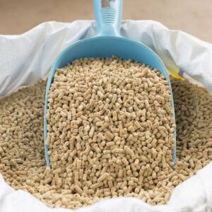 Animal Feed for Sale