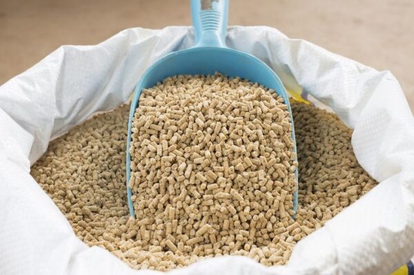 Animal Feed for Sale
