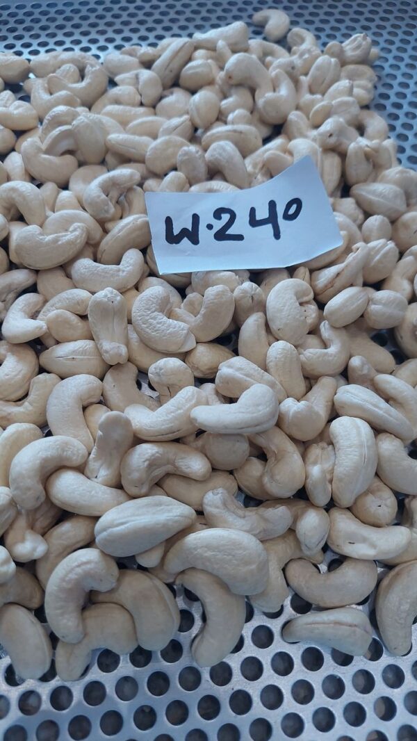 Cashew Nuts for Sale