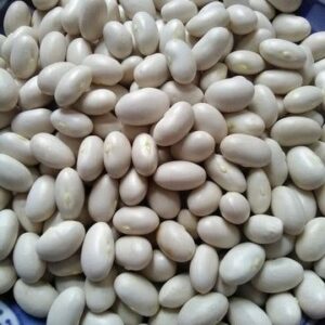 Kidney Beans for Sale