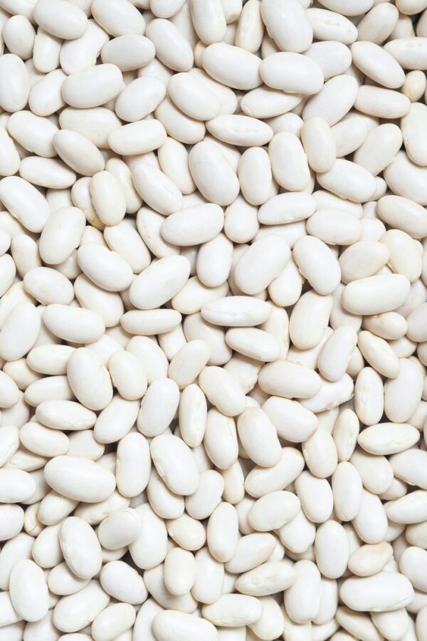 Kidney Beans for Sale