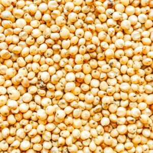 Sorghum for Sale